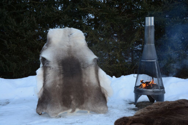 Rentierfell Black Night Sky 160cm Übergrösse